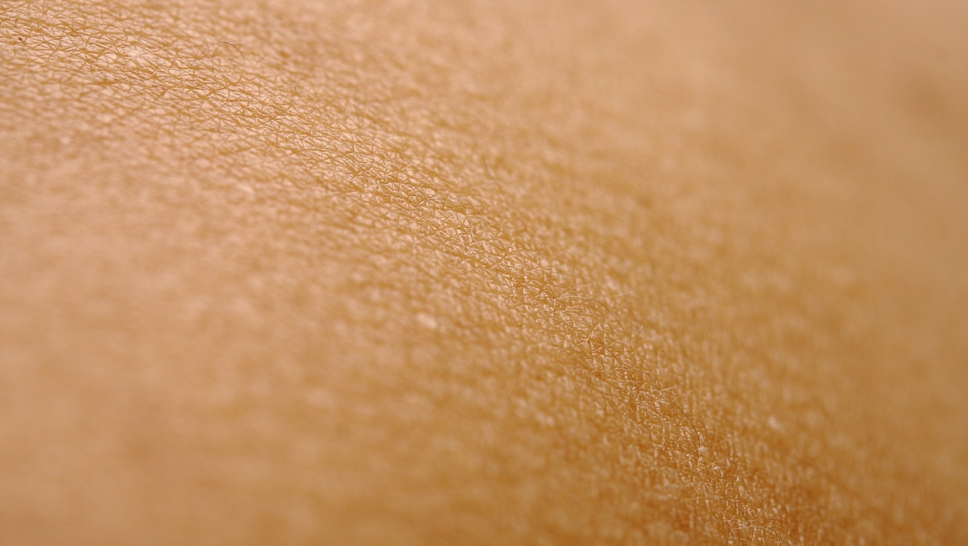 Macro photograph of healthy skin texture in warm light